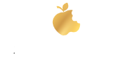 Sensual Concept Boutique Store